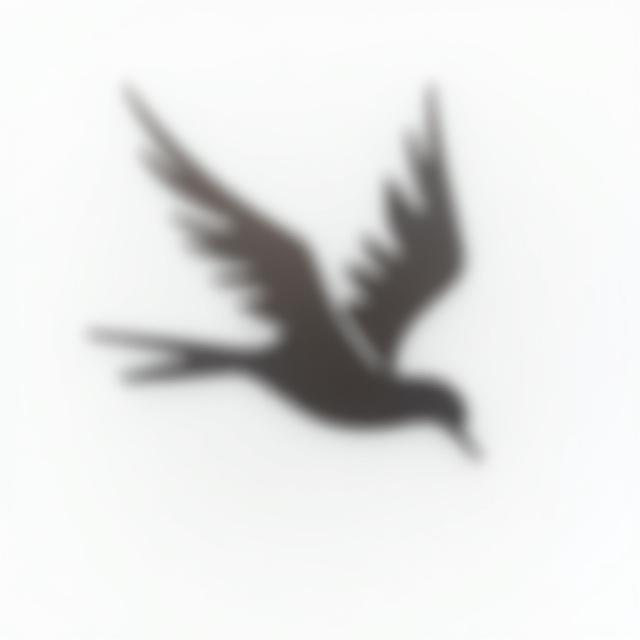 Contemporary metal bird sculpture wall art