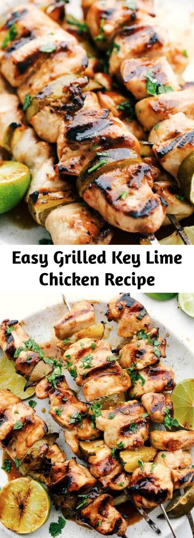 Easy Grilled Key Lime Chicken Recipe - If you're using bamboo skewers, soak your sticks in water for at least 5 minutes. Cut chicken into large chunks, and skewer. Allow to marinate for at least 1 hour. I am pretty sure your family will love this key lime chicken too!