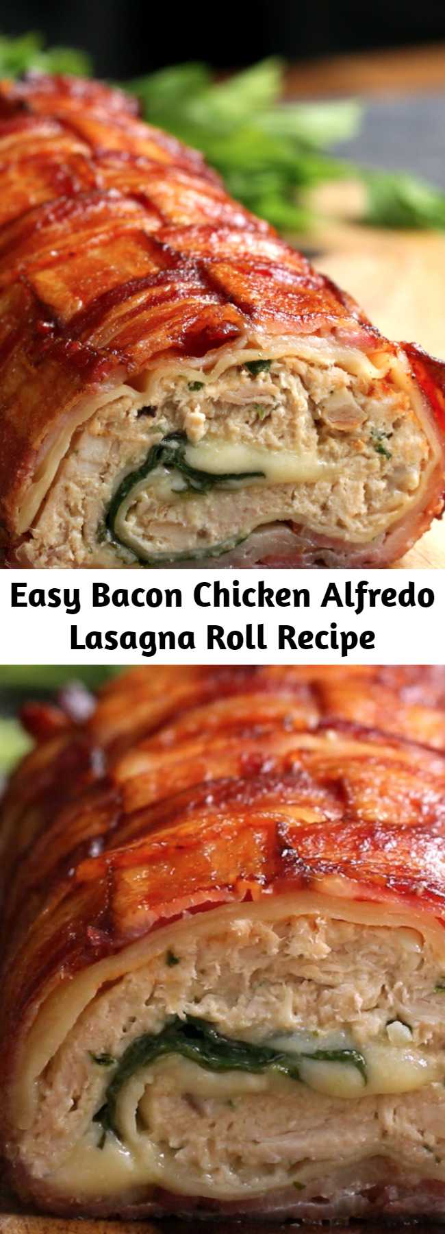 Easy Bacon Chicken Alfredo Lasagna Roll Recipe - Family fav added to weekly suppers!!! Incredibly easy and flavorful! Can almost knock out two dinners with the rotisserie chicken... use half for this roll and the other half for chicken salad, for the next days lunch.