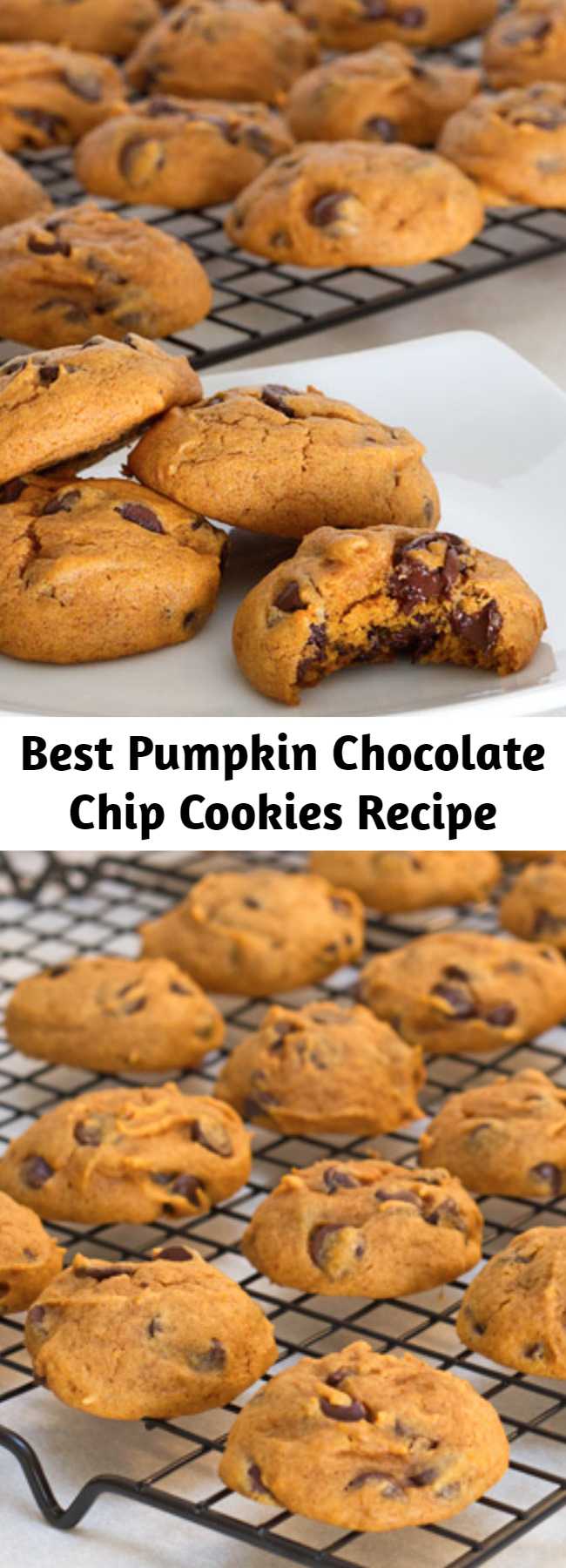 Best Pumpkin Chocolate Chip Cookies Recipe - These pumpkin chocolate chip cookies are the essential fall cookie! Chewy and cake-like, they're sure to be a hit at your next tailgate or fall party!