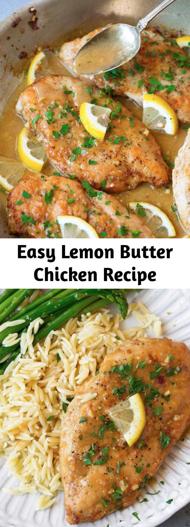 Easy Lemon Butter Chicken Recipe - The easiest yet tastiest chicken recipe! Pan seared chicken breasts are coated with a bright, tangy and rich lemon butter sauce that will leave you craving more! Perfect recipe for busy weeknights. Serve with orzo and asparagus to complete the meal. #lemon #chicken #chickenbreasts #dinnerideas #recipe